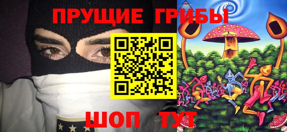 Галлюциногенные грибы Psilocybine cubensis  Вход с VPN  Москва 