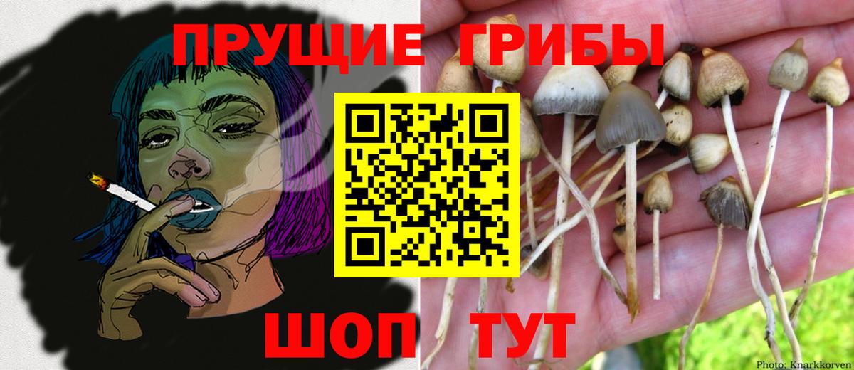 Галлюциногенные грибы мухоморы Москва